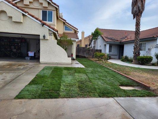 Ramos Landscaping & Tree Services