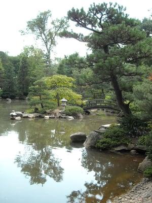 White Dragon Martial Arts