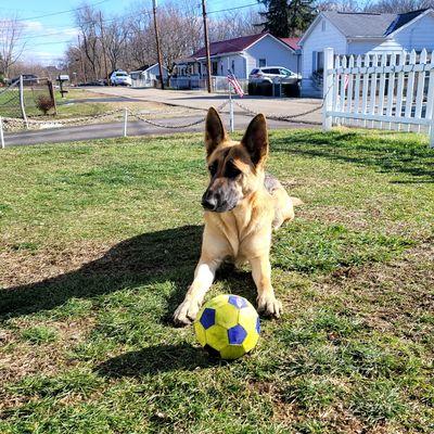 Armstrong's Eagle Eye Drone Photography and Videography