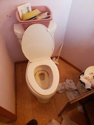 toilet replace