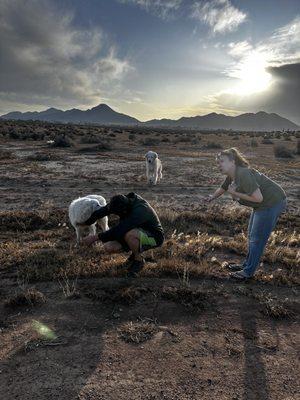 Ann gave her dinner up to get them in my truck. Thanks Ann!