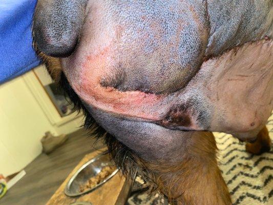 Hurricane Animal Hospital