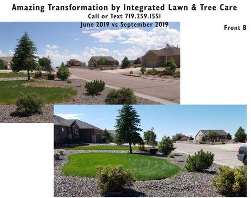 Integrated Lawn Care