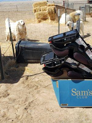 Rael's Trash Service