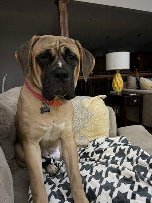 Ruff House Adventures