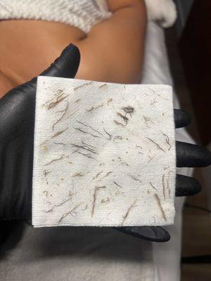 Petals & Pearls Skin