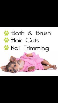 St. John Boarding & Grooming