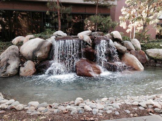 The Pain & Rehabilitation Medical Group