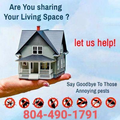 Rid-em Pest Management