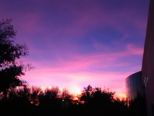 Web.Com Search Agency