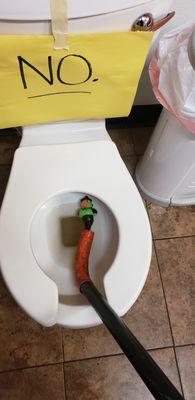 Clogged Toilet in Edgewood