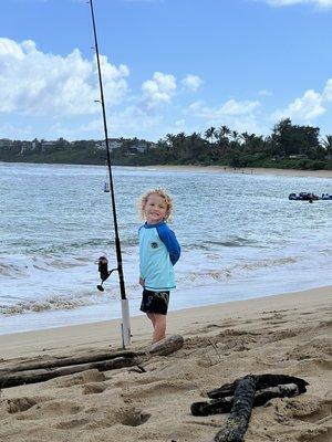 North Shore Tour Guide