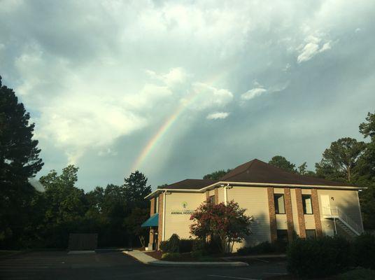 Raleigh Community Animal Hospital