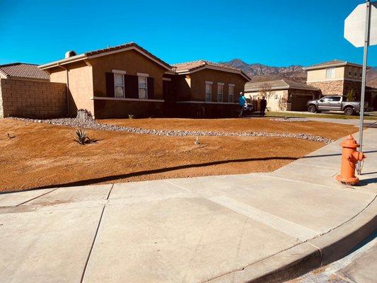 Green Solutions Landscape