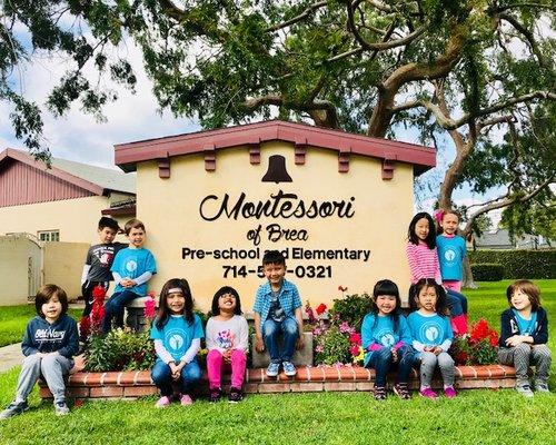 Montessori of Brea