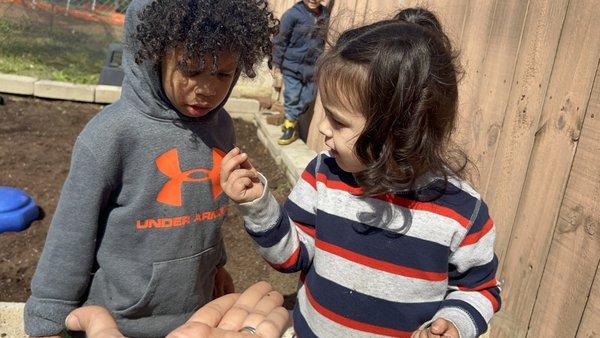 Golden Beads Learning Center