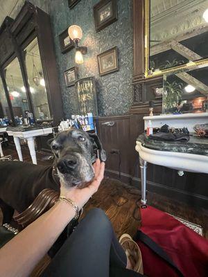 View from my chair with the owner's dog. He only comes to you by invitation but I always invite him.