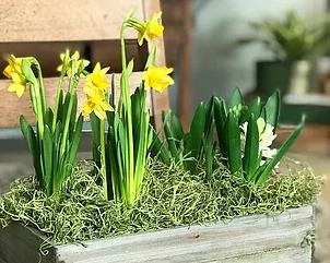 Botanica Flowers & More