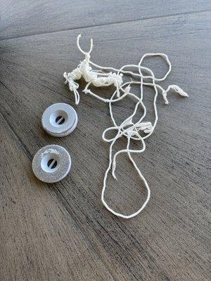 Hawaiian Breeze Pools