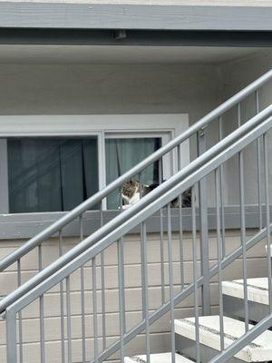 Vista Sun Apartments