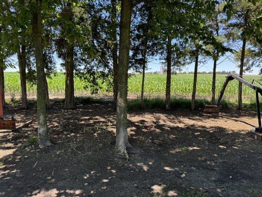 R&J Handyman Service