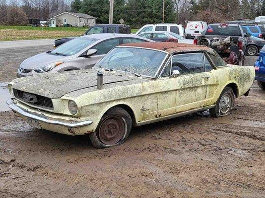 Dumbleton Used Auto Parts