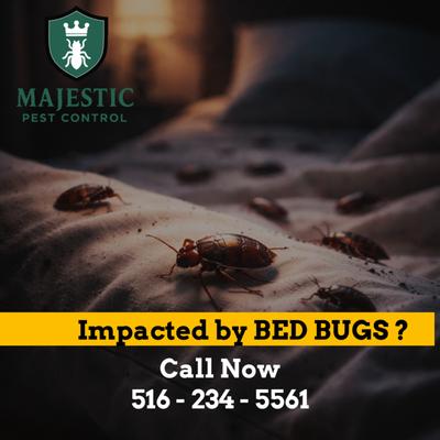 Majestic Pest Control, Melville Exterminator Services