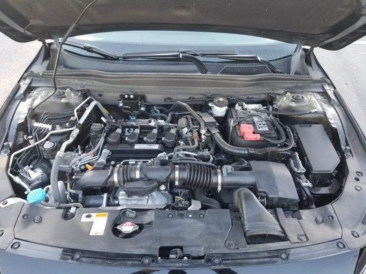 American Family Motors