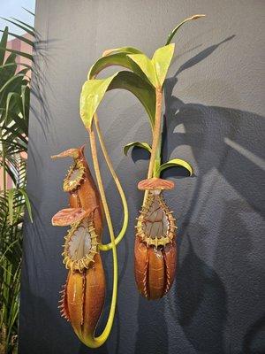 San Francisco Art Fair