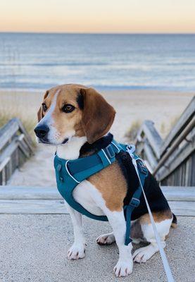 Visiting during dusk is just as beautiful. Everything will have a slight violet glow.