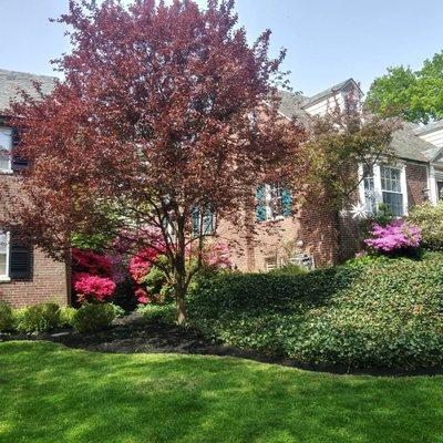 R B Professional Landscaping