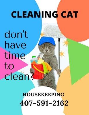 Cleaning Cat
