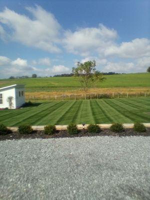 Northern Slope Property Care