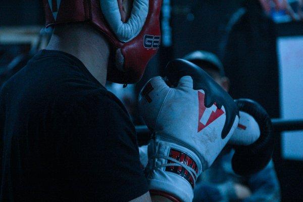 Two day free trial available