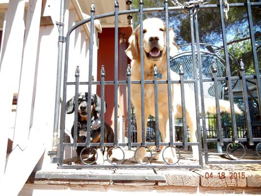 A couple of regulars