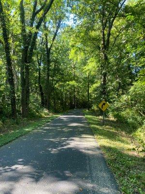 Covington Circle Trail (North Leg)