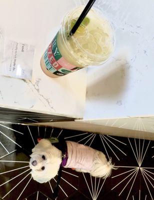 Better Buzz Coffee - Del Mar