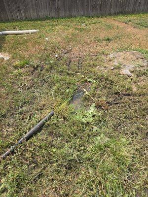 Swamp in the backyard Not installed to regulations