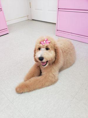 Hazel enjoying she stay