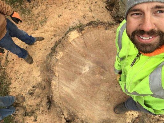 Wildcat Creek Tree Service