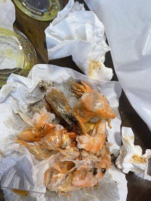 Horrible looking shrimp never going here again