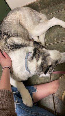 Kittanning Veterinary Hospital