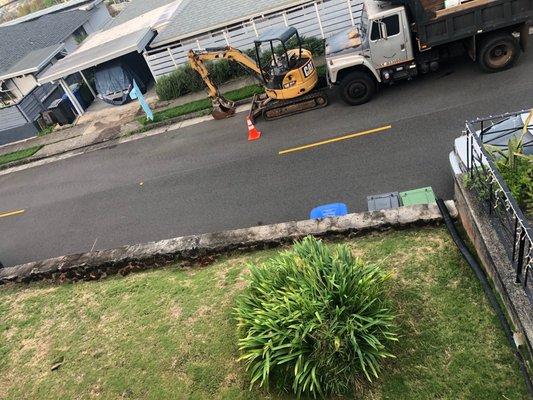 Rugged Slopes Hawaii