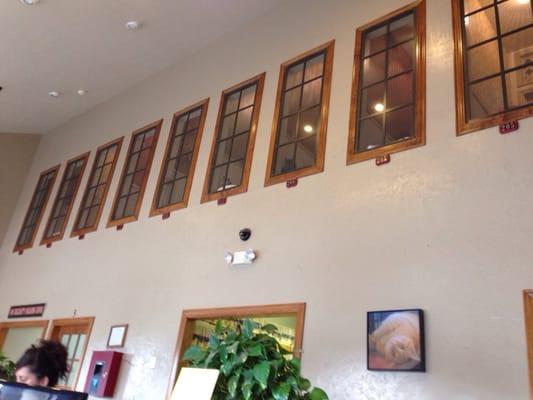 Beaumont West Animal Care