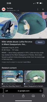 Miami Seaquarium Dolphin Lobby Snacks