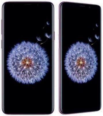 MIP Marketing Family