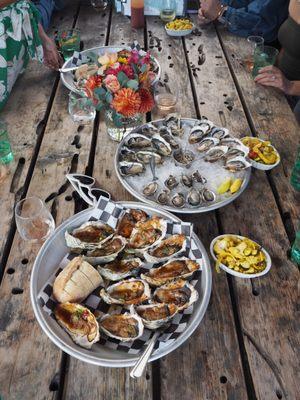 Hama Hama Oyster Saloon