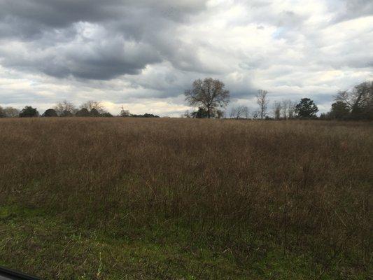 Bill Marsh Real Estate