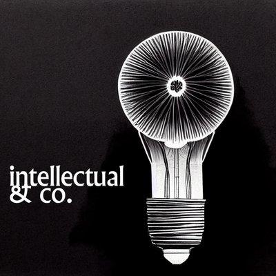 Intellectual & Co.