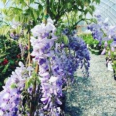 Wetlands & Woodlands Wholesale